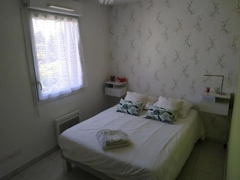 Magnifique Rooftop Duplex Climatise Familial, Aux Arceaux Montpellier Exteriér fotografie